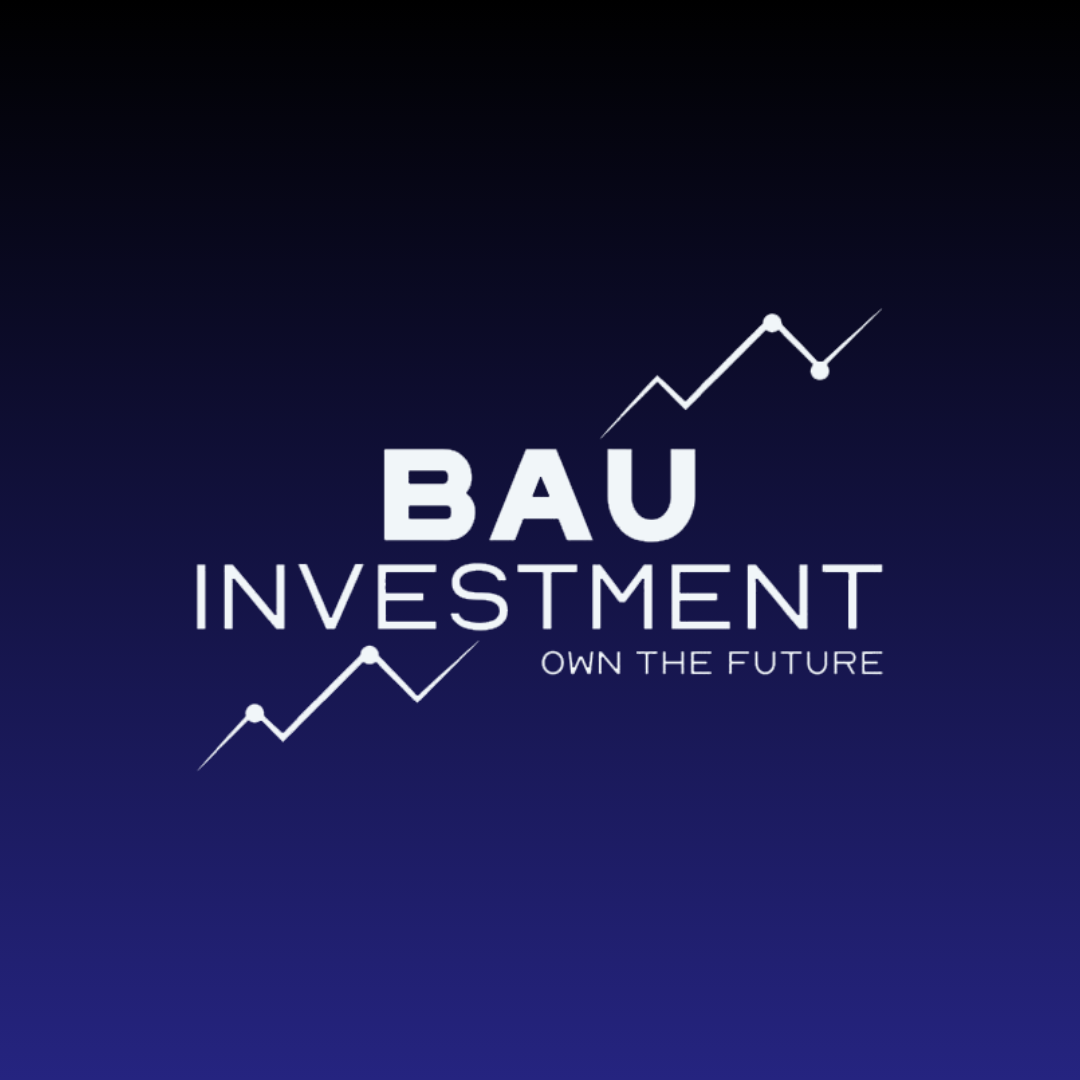 BAU INVESTMENT Logo