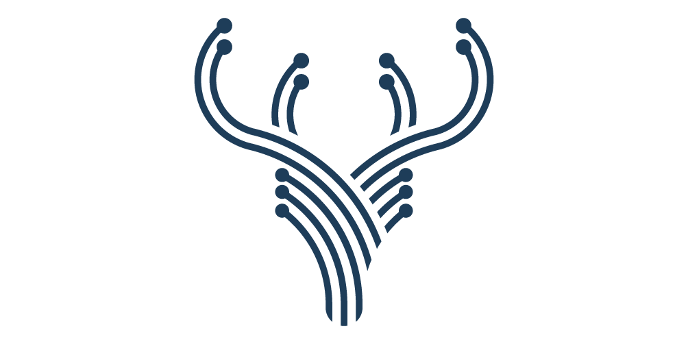 Hacettepe AI Club Logo